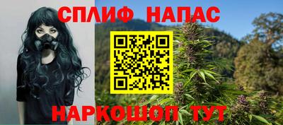 спиды Кинель