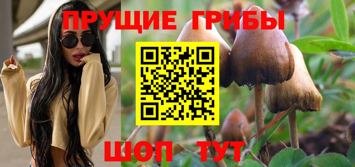 Галлюциногенные грибы ЛСД Котлас