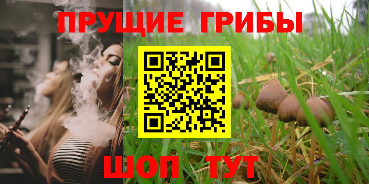 Псилоцибиновые грибы Magic Shrooms  Галлюциногенные грибы мицелий  Вход с VPN  Котлас 